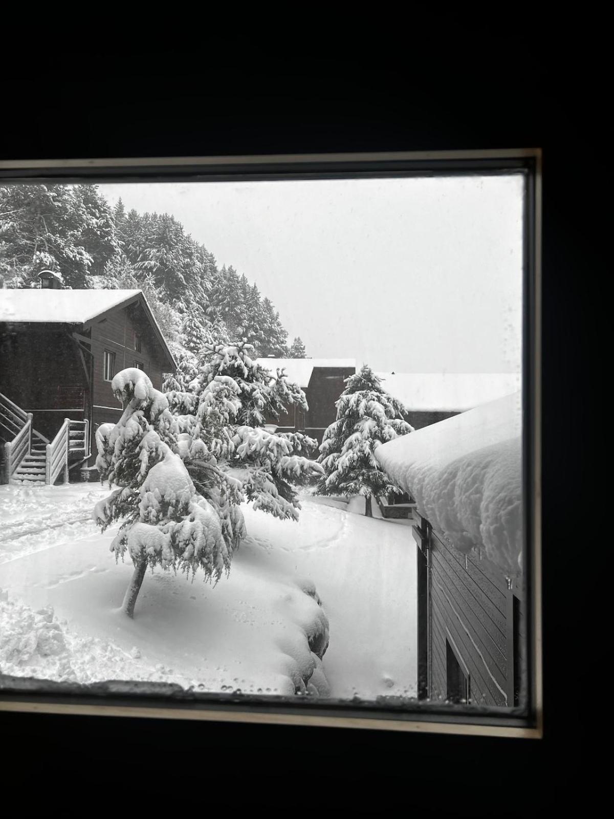Exclusiva Cabana En Incles - Vistas Al Valle & Pistas De Ski Grandvalira - Free Parking Canillo Exterior foto